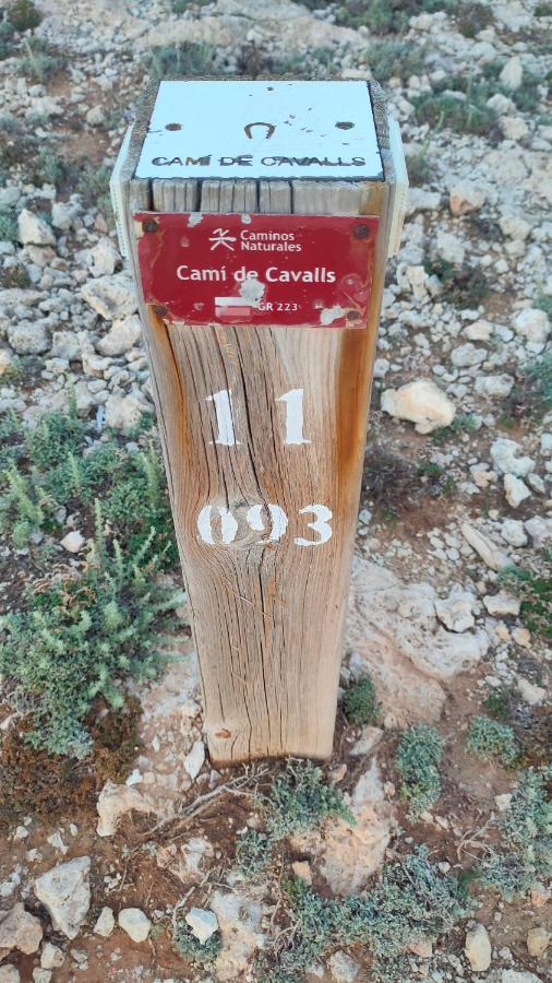 شقة Addaia Coves Noves Playa Arenal D'En Castell إيز ميركاذال المظهر الخارجي الصورة